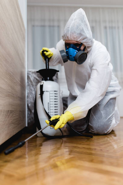 Best Residential Pest Control  in Cottonwood, AZ